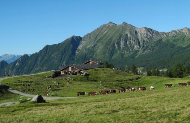 hotellaiglon.abc-vacanze it offerta-vacanza-in-montagna-con-ragazzi-in-valle-d-aosta 064