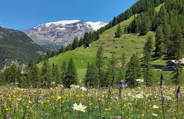 hotellaiglon.abc-vacanze it offerta-vacanza-in-montagna-con-ragazzi-in-valle-d-aosta 014