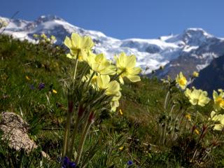 SPRING HOLIDAY OFFER IN HOTEL IN THE CHAMPOLUC CENTER