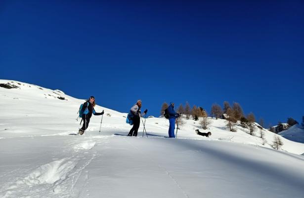 hotellaiglon.abc-vacanze en ski-holidays-promotion-in-monterosa-italian-alps 013